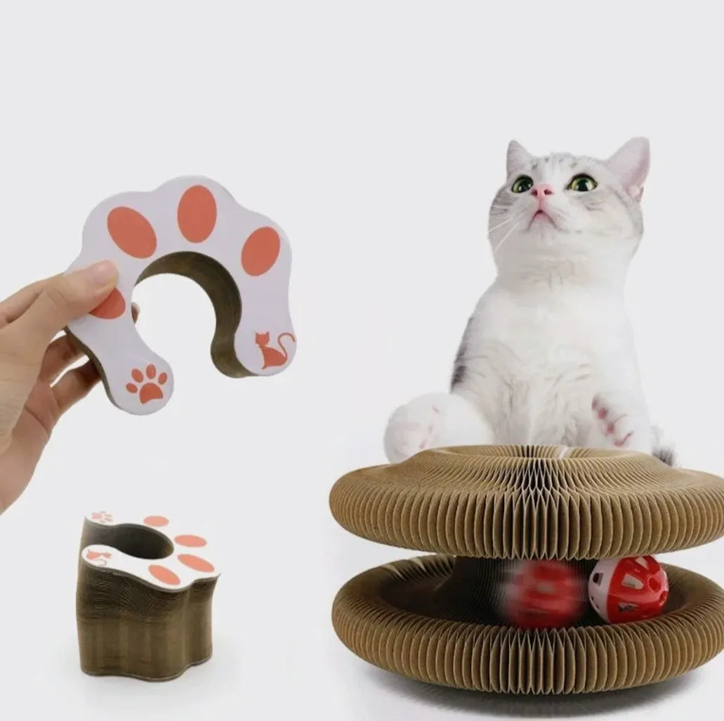 Rascador Interactivo Plegable Flexible Para Gatos